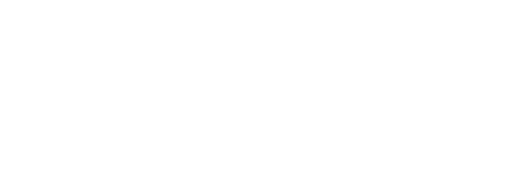 dec logo